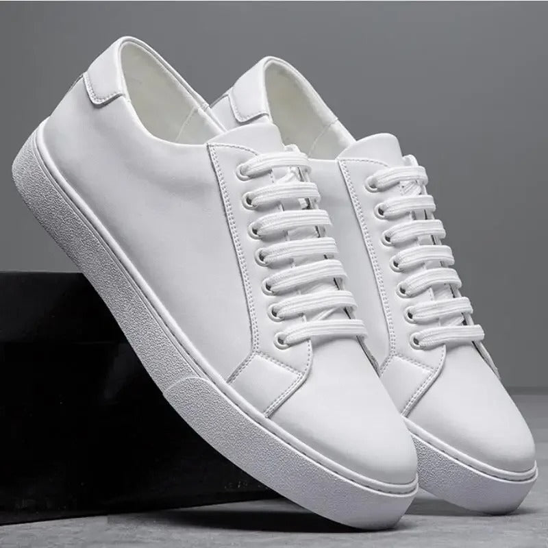 Ariston | Maver Leather Sneakers