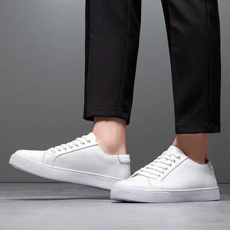 Ariston | Maver Leather Sneakers