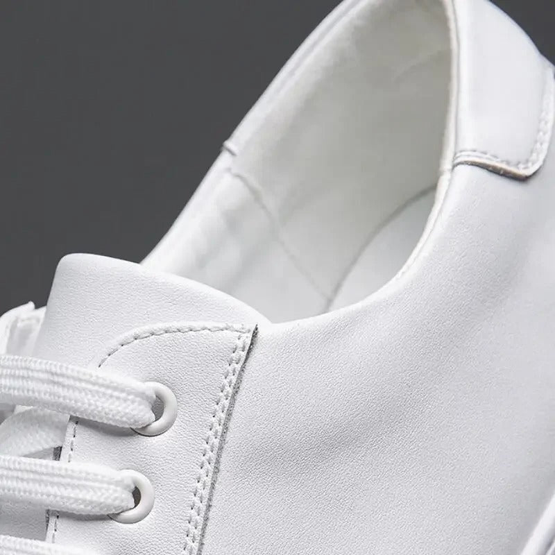 Ariston | Maver Leather Sneakers